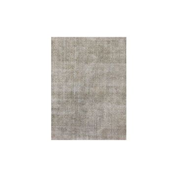 Rugsville Vintage Brown Hand knotted Wool Antique Rug AT-1010 180 x 270 cm