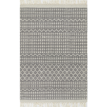 Momeni Ember EMR-1 Area Rug