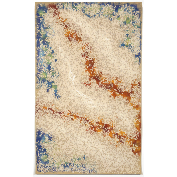 Liora Manne Visions Iv Elements Indoor/Outdoor Rug